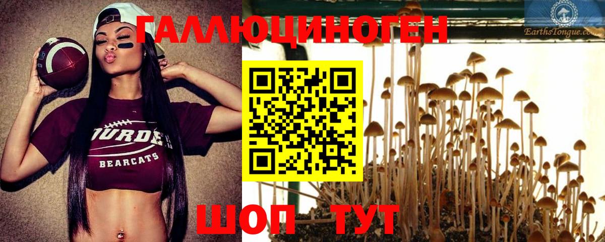 Псилоцибиновые грибы Magic Shrooms  Вход с VPN  Артём 