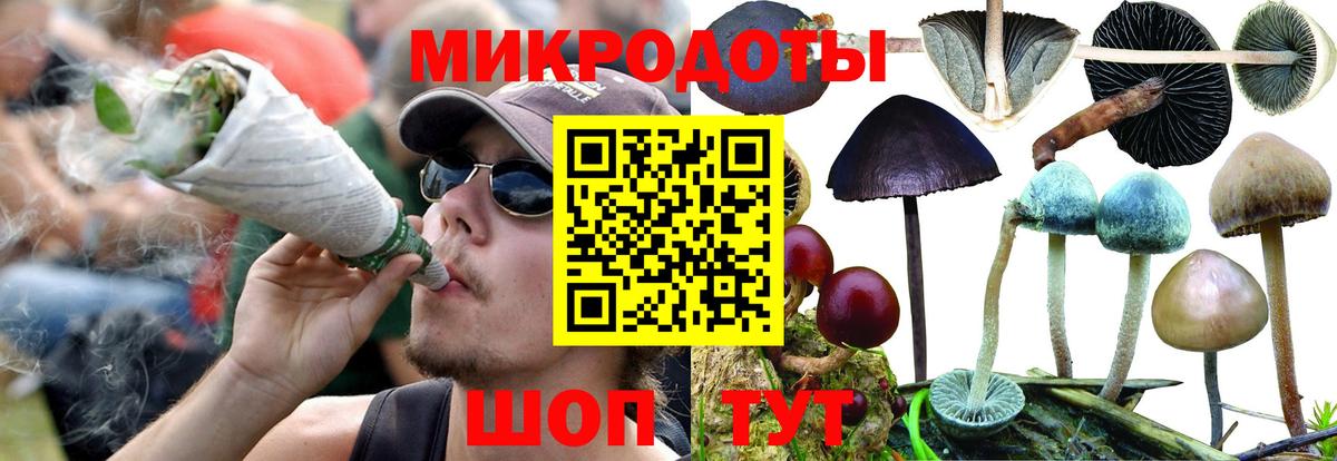 Псилоцибиновые грибы мицелий Артём